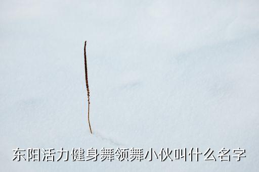 东阳活力健身舞领舞小伙叫什么名字