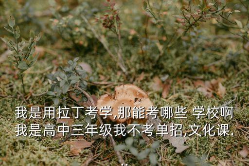 我是用拉丁考学,那能考哪些 学校啊我是高中三年级我不考单招,文化课...
