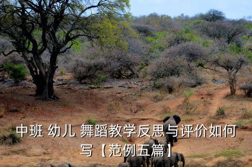 中班 幼儿 舞蹈教学反思与评价如何写【范例五篇】