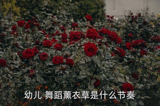 数星星考一级舞蹈视频,三四级的舞蹈数星星