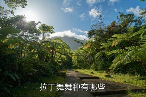 拉丁舞舞种有哪些