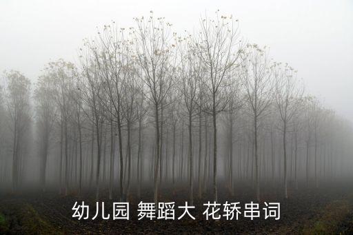 幼儿园 舞蹈大 花轿串词