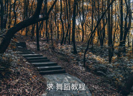 网红舞蹈视频教学完整简单,枣儿红了舞蹈教学视频