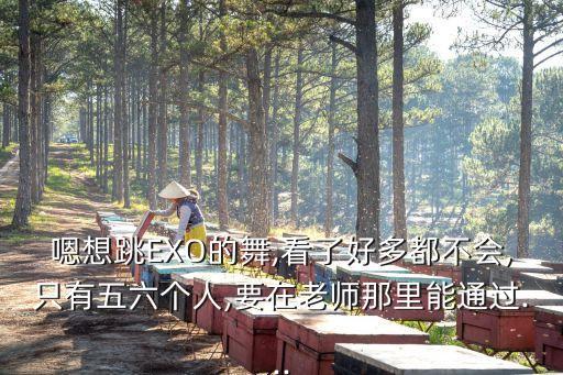 嗯想跳EXO的舞,看了好多都不会,只有五六个人,要在老师那里能通过...
