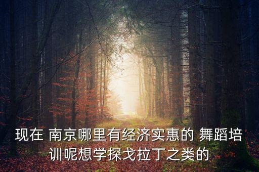 现在 南京哪里有经济实惠的 舞蹈培训呢想学探戈拉丁之类的