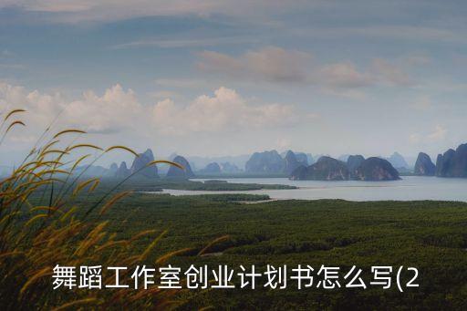 舞蹈机构组织结构,舞蹈集训机构