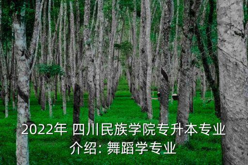 2022年 四川民族学院专升本专业介绍: 舞蹈学专业