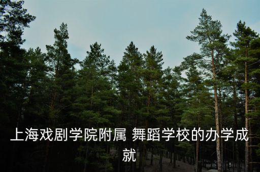 上海戏剧学院附属 舞蹈学校的办学成就