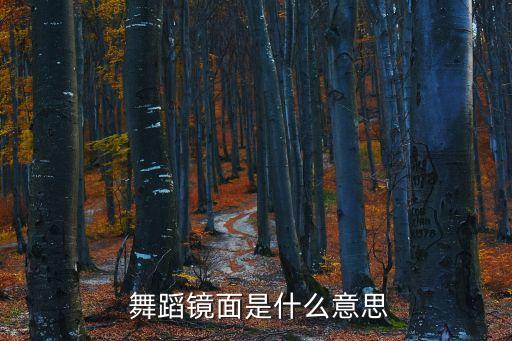  舞蹈镜面是什么意思