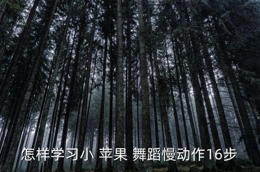 怎样学习小 苹果 舞蹈慢动作16步
