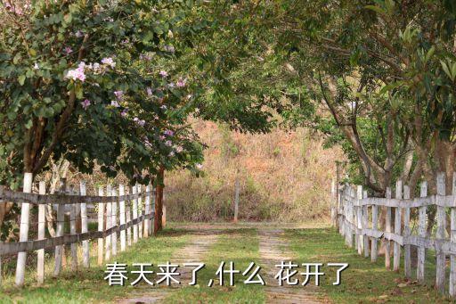 古典舞蹈至子花开歌词,一路花开舞蹈歌词完整版