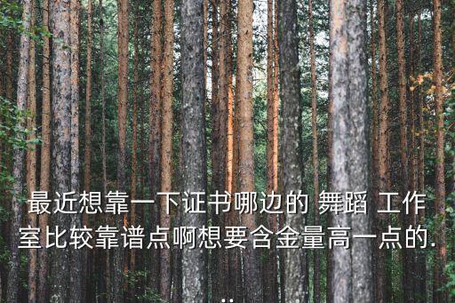 最近想靠一下证书哪边的 舞蹈 工作室比较靠谱点啊想要含金量高一点的...