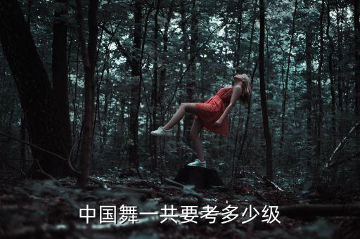 中国舞蹈舞蹈二级考试,舞蹈二级考试曲目