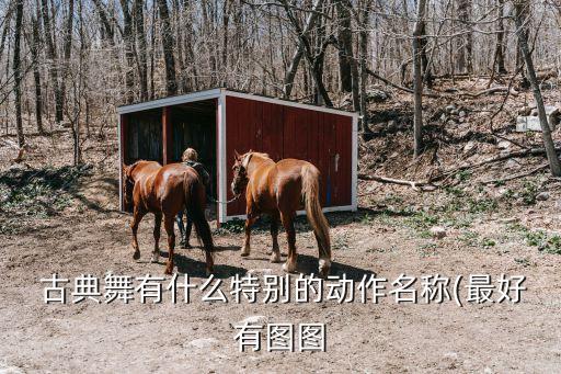 古典舞舞蹈动作力量,月满西楼古典舞舞蹈动作讲解