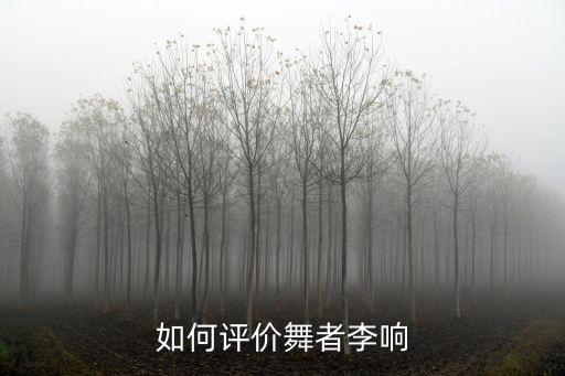 如何评价舞者李响