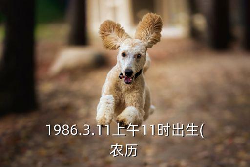 桃花运舞蹈视频网红