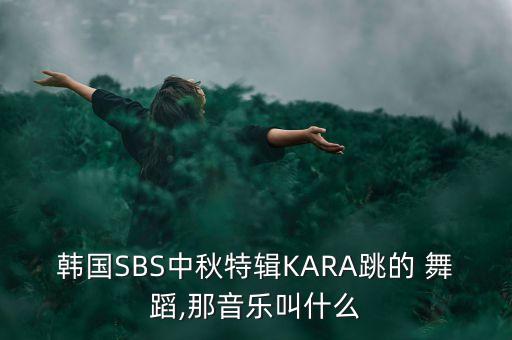 韩国SBS中秋特辑KARA跳的 舞蹈,那音乐叫什么