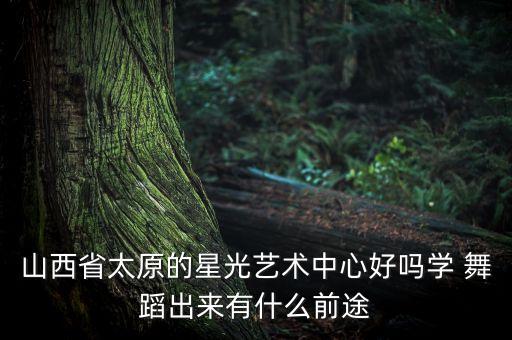 山西省太原的星光艺术中心好吗学 舞蹈出来有什么前途