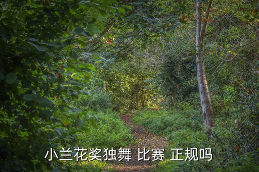 小兰花奖独舞 比赛 正规吗