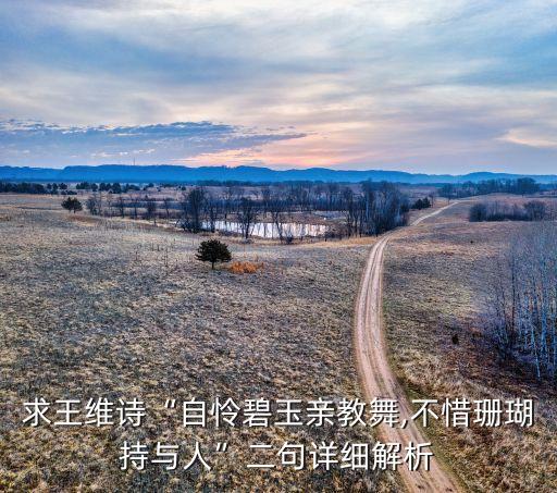 求王维诗“自怜碧玉亲教舞,不惜珊瑚持与人”二句详细解析