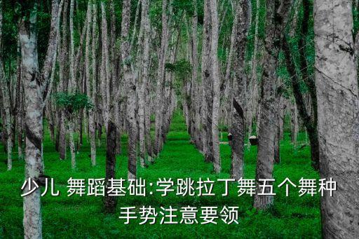 少儿 舞蹈基础:学跳拉丁舞五个舞种手势注意要领
