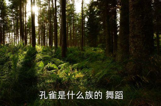  孔雀是什么族的 舞蹈