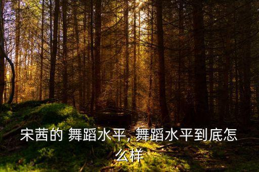 宋茜的 舞蹈水平, 舞蹈水平到底怎么样