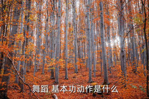  舞蹈 基本功动作是什么
