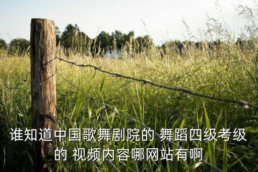 谁知道中国歌舞剧院的 舞蹈四级考级的 视频内容哪网站有啊