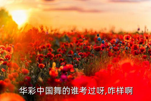 华彩中国舞的谁考过呀,咋样啊