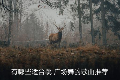 有哪些适合跳 广场舞的歌曲推荐