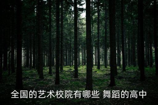 全国的艺术校院有哪些 舞蹈的高中