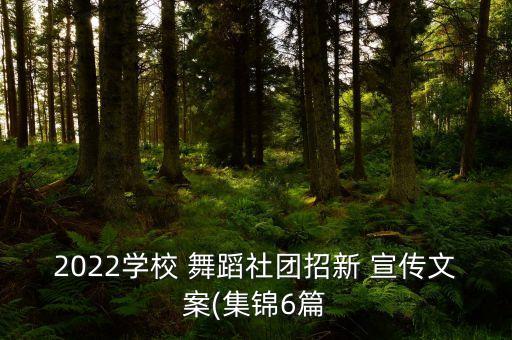 2022学校 舞蹈社团招新 宣传文案(集锦6篇