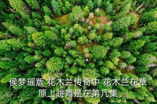 侯梦瑶版 花木兰传奇中 花木兰在草原上跳舞是在第几集