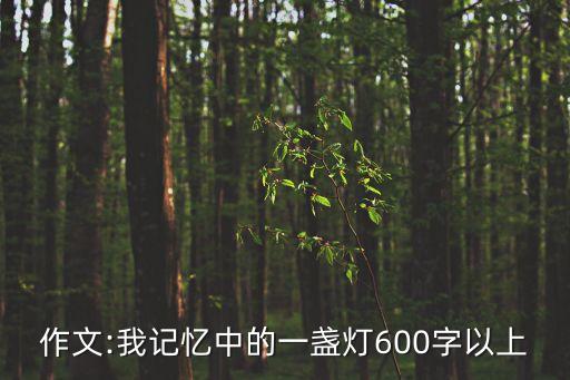 作文:我记忆中的一盏灯600字以上