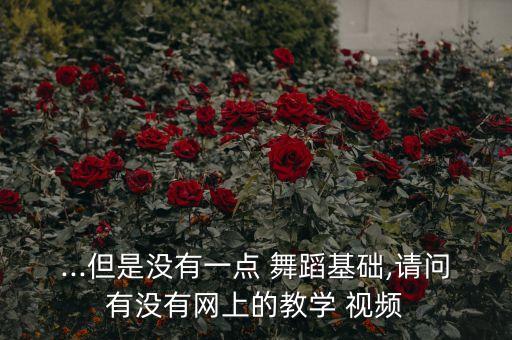 ...但是没有一点 舞蹈基础,请问有没有网上的教学 视频