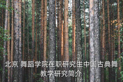 王韦舞蹈