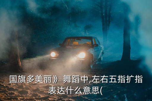 红旗舞蹈视频,五星红旗舞蹈视频