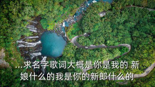 ...求名字歌词大概是你是我的 新娘什么的我是你的新郎什么的