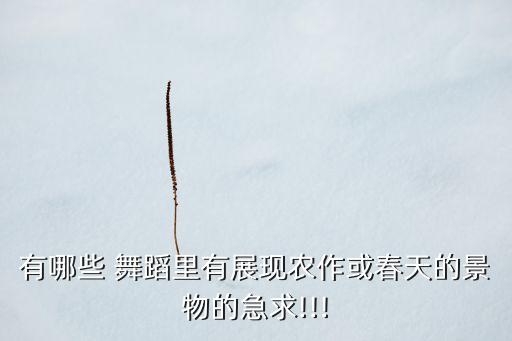 有哪些 舞蹈里有展现农作或春天的景物的急求!!!
