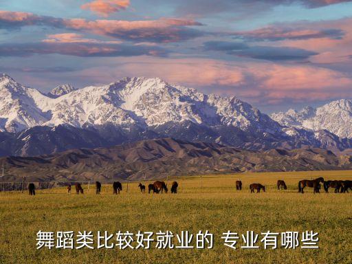  舞蹈类比较好就业的 专业有哪些