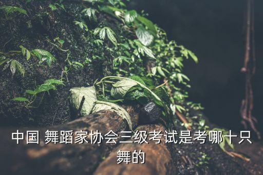 兰花草的舞蹈视频,儿歌兰花草舞蹈视频