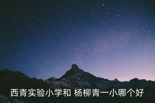 西青实验小学和 杨柳青一小哪个好