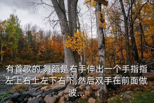 有首歌的 舞蹈是右手伸出一个手指指左上右上左下右下,然后双手在前面做波...