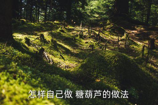 怎样自己做 糖葫芦的做法
