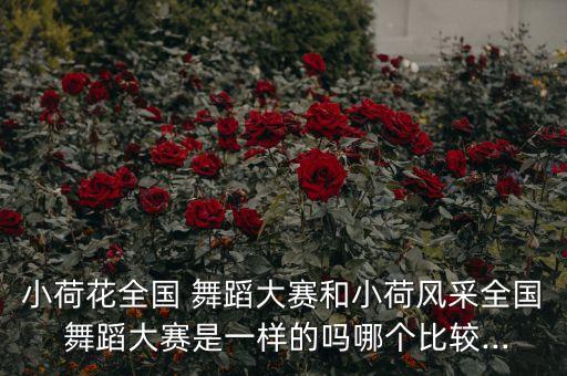 小荷花全国 舞蹈大赛和小荷风采全国 舞蹈大赛是一样的吗哪个比较...