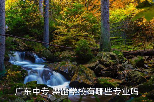 广州佳成舞蹈18国际