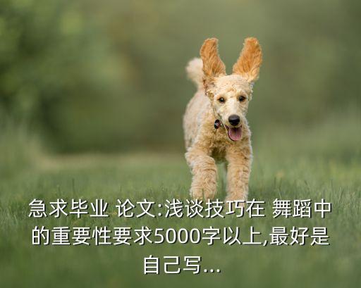 急求毕业 论文:浅谈技巧在 舞蹈中的重要性要求5000字以上,最好是自己写...