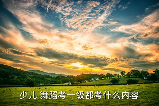 舞蹈视频儿童中国舞