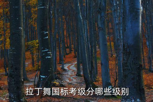 铜牌拉丁舞蹈,拉丁铜牌恰恰恰